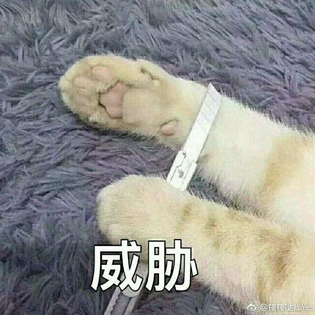 烦我是罪恶