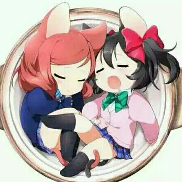 荀安陌