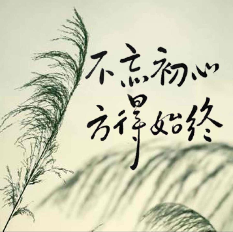 瑟瑟的世界