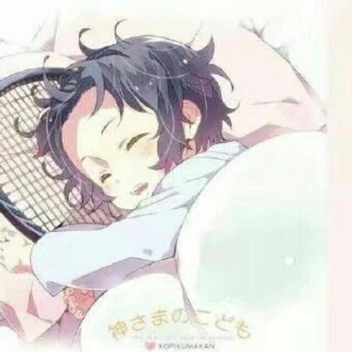 本命立海大