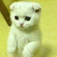 Peggyto8