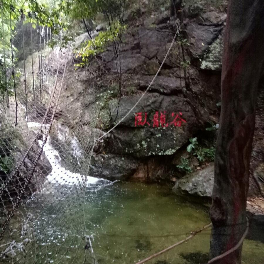 回薏的彩纞