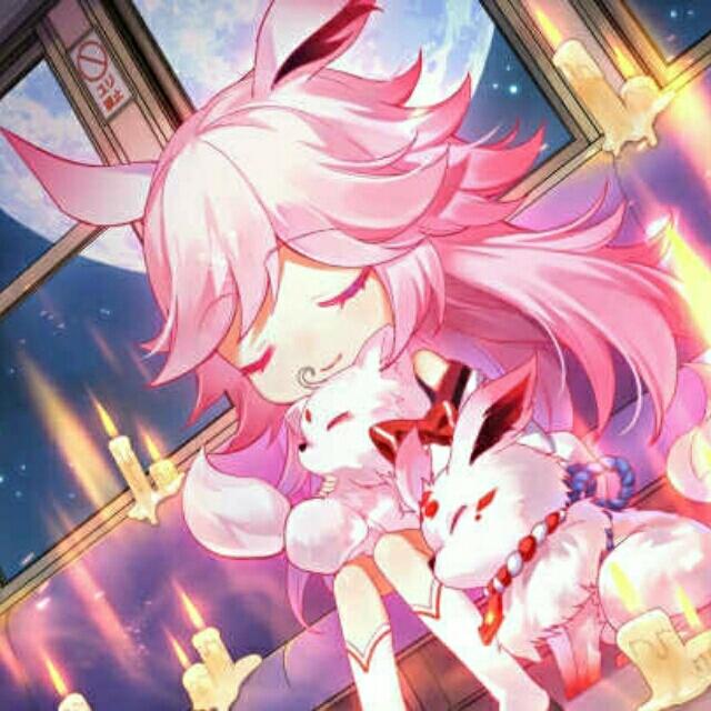 星华之梦