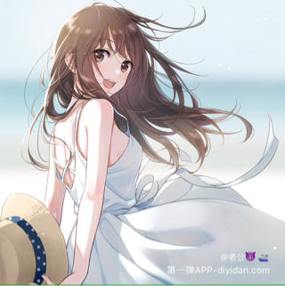伊卡洛斯✔