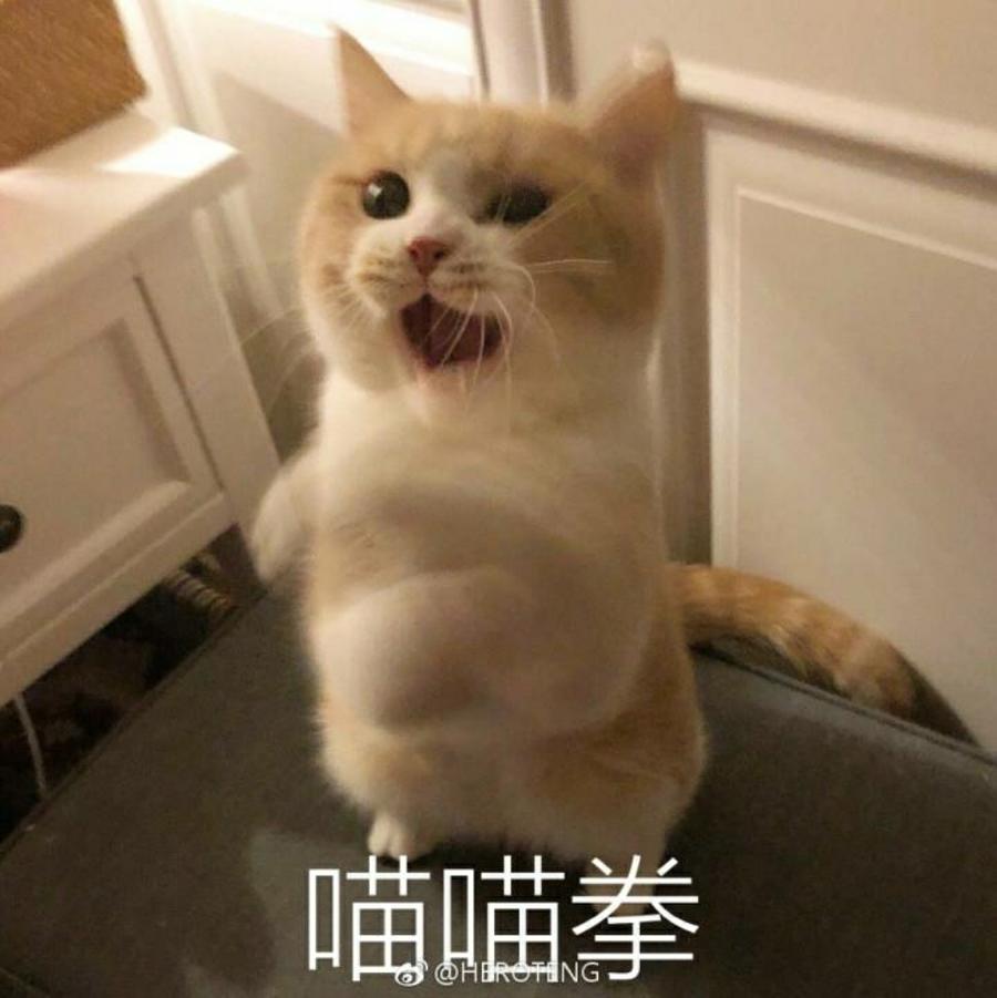 柠.栀