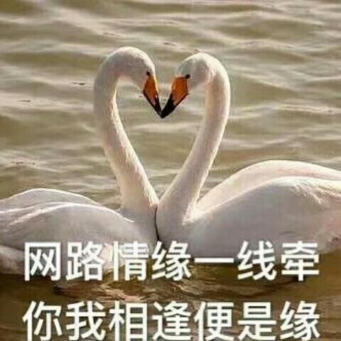 圈内著名肥宅