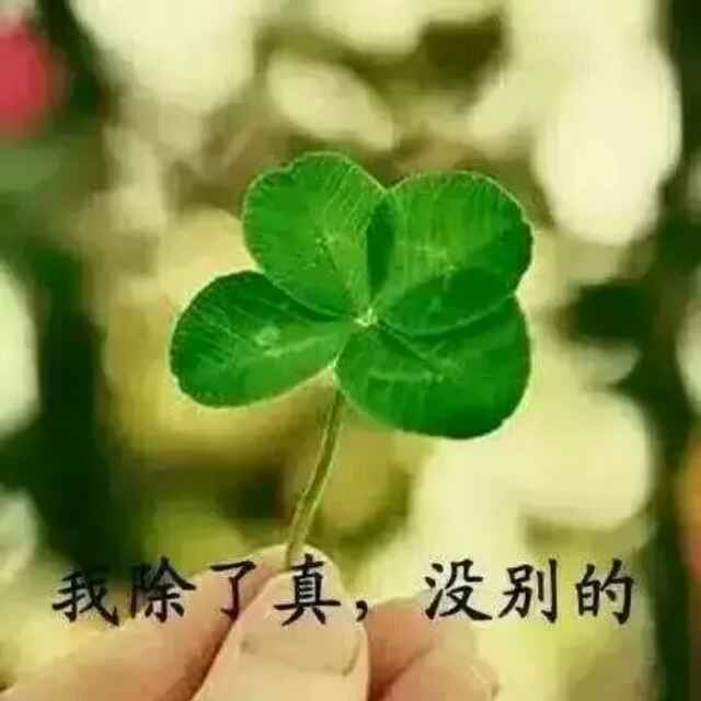 回★忆