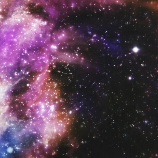 朱之月