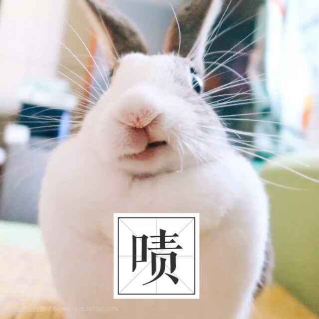 角落里的kafka