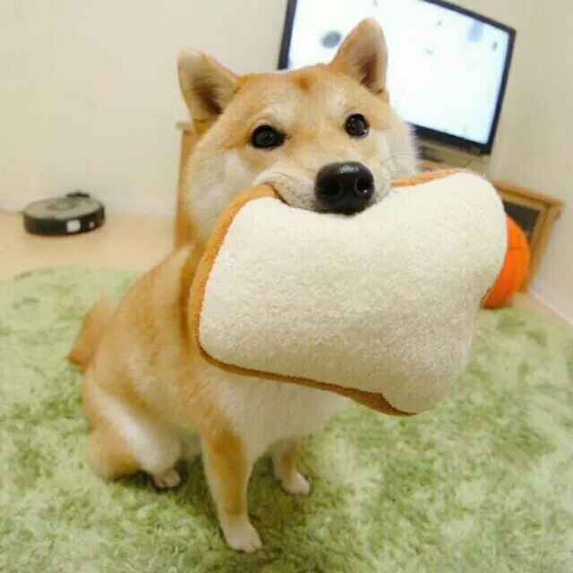 巨足鶏無覇
