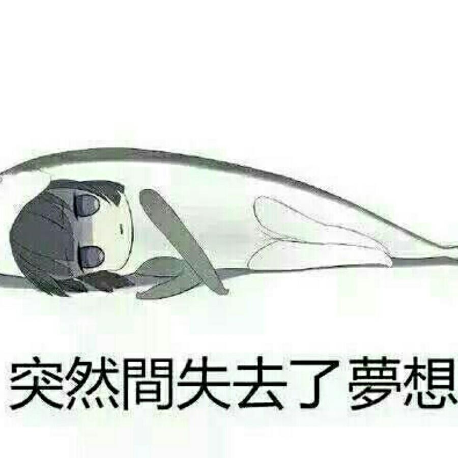 Mr.大昊灏