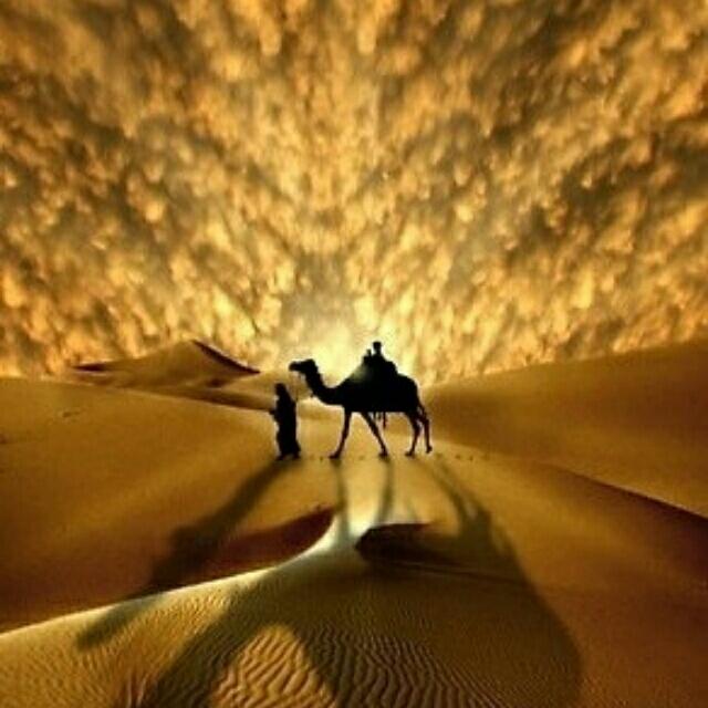 天煞孤星？？？