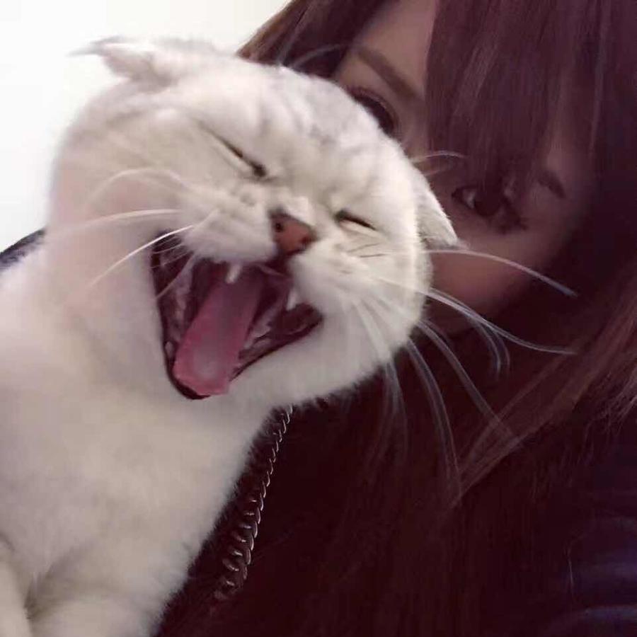 Summer_萤👠🍫🍒