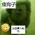 假名hv9