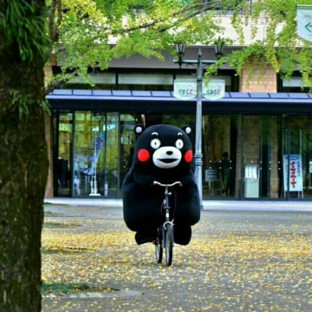 松笠