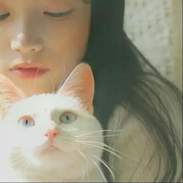 猫竹小可耐～