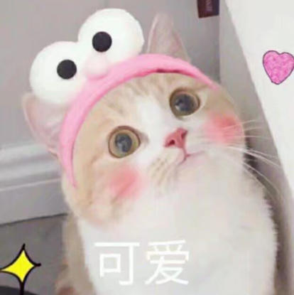 Senses森