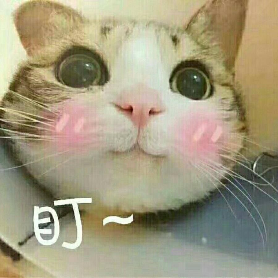 是你吗o>_<o