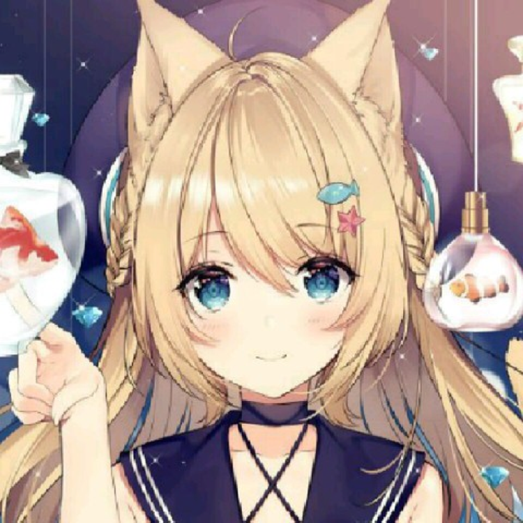 维内托号驱逐舰