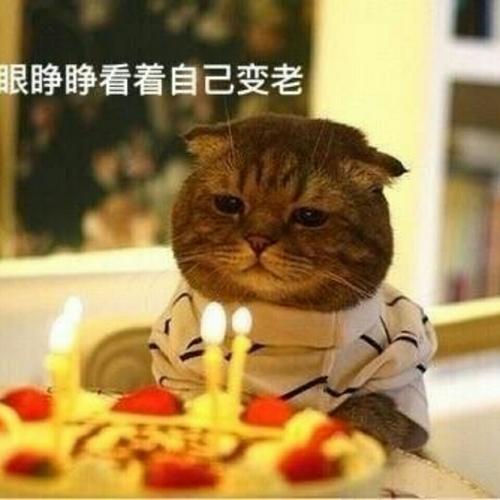 牙吼YAH