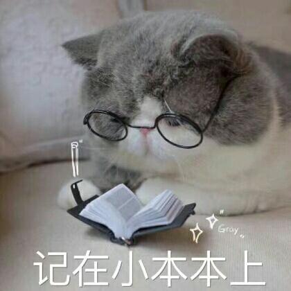 许辞.