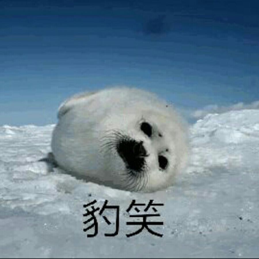 我是珺珺啊