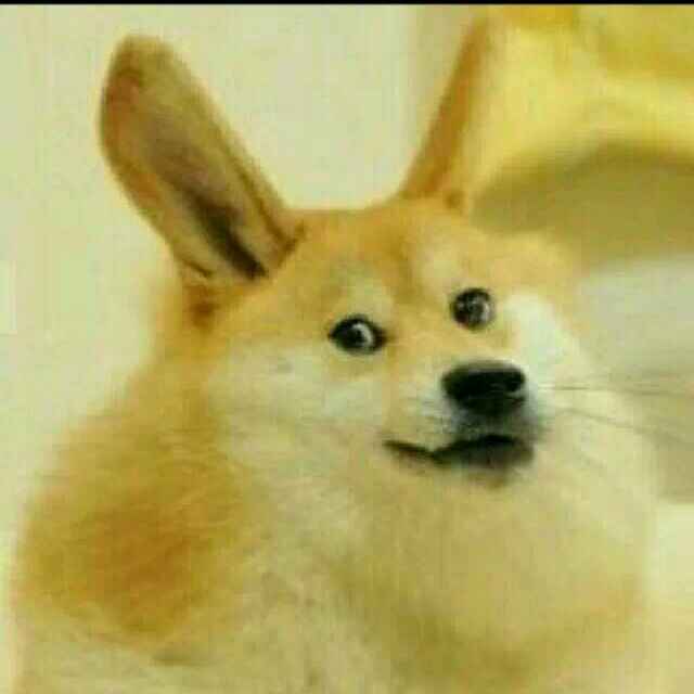 奕天f9u