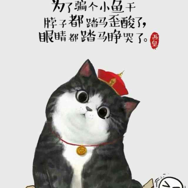 dd92729319