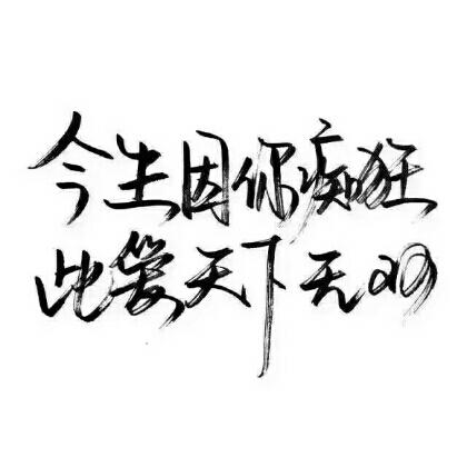 沈笑孤