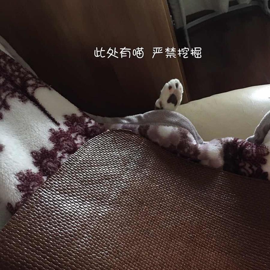 小河po2