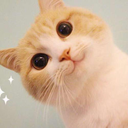 ☆Yanagi☆