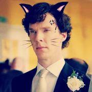 夏洛克斯基哈哈哈