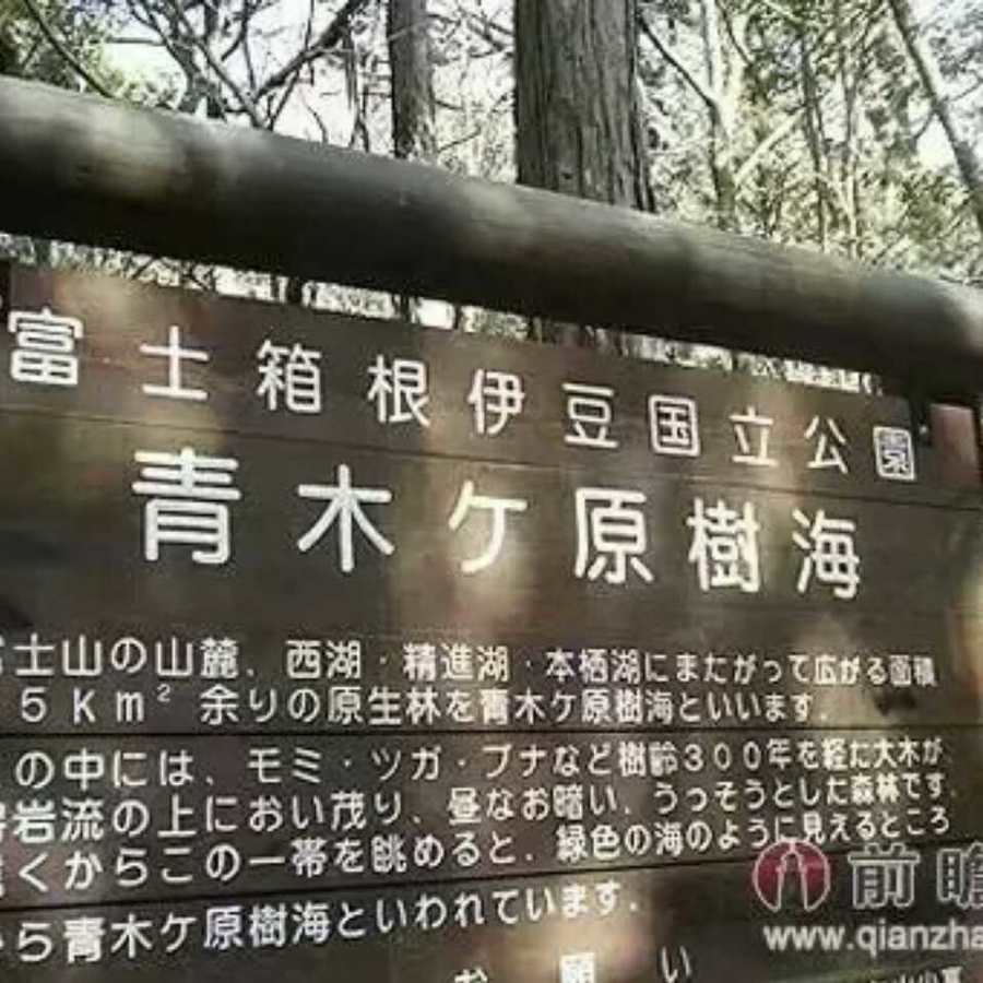 郭xx