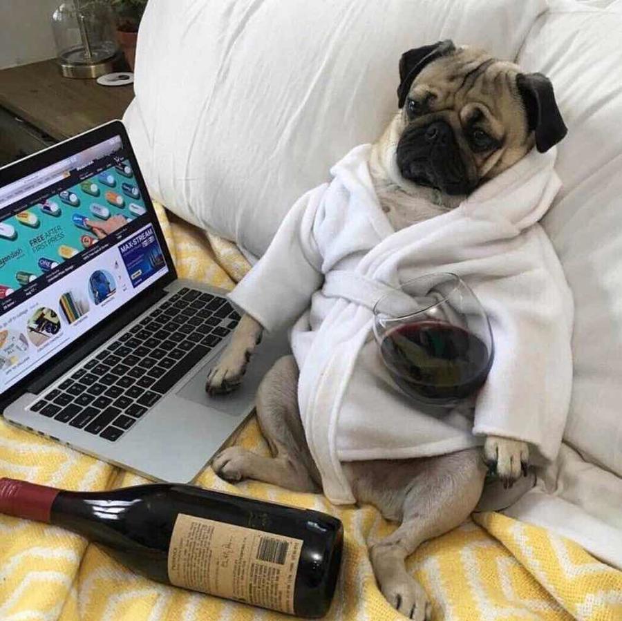 爱睡书房的少女