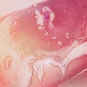 我的名字很好吃Alimeco