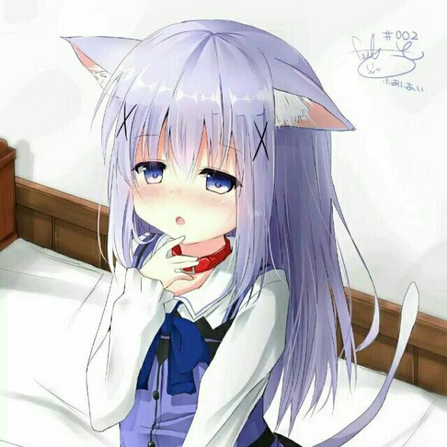 **塞高。