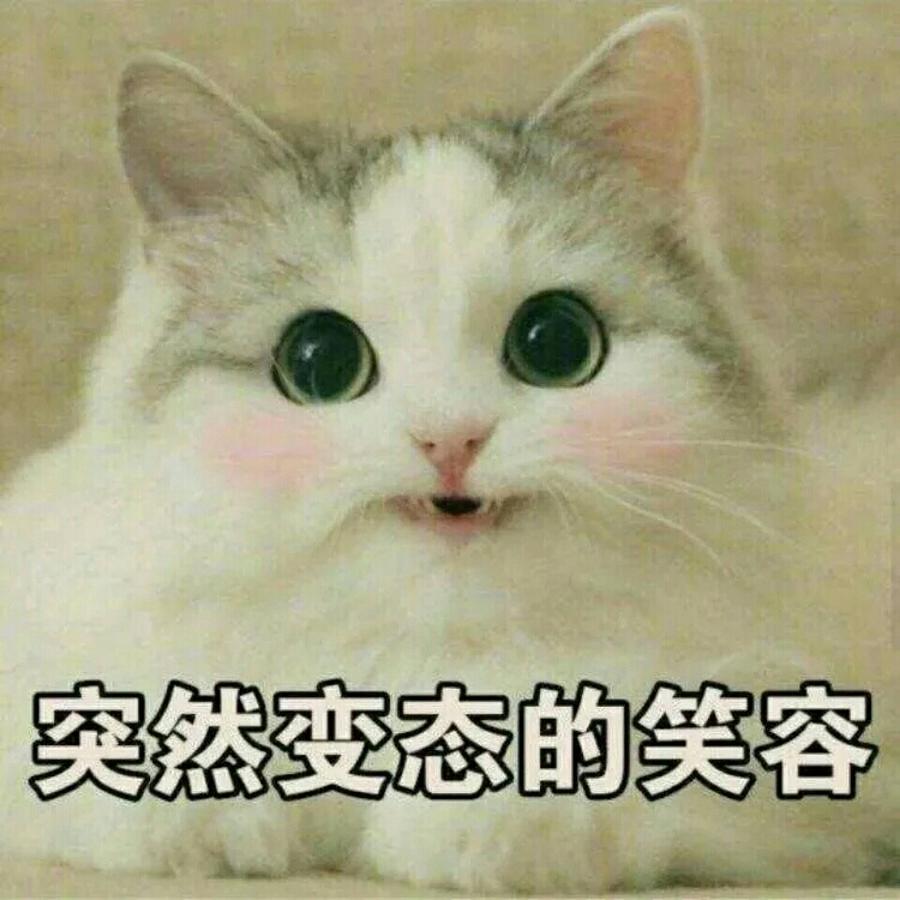 宫宫宫宫宫宫村