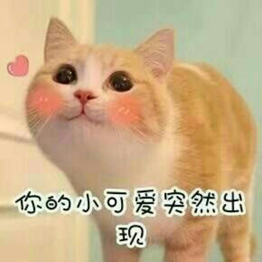 爱吃糖的琥珀