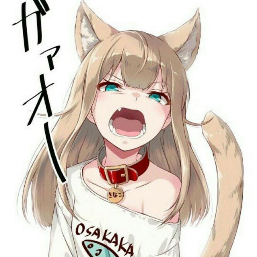 夜羽nla