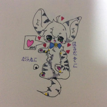 anon是废物