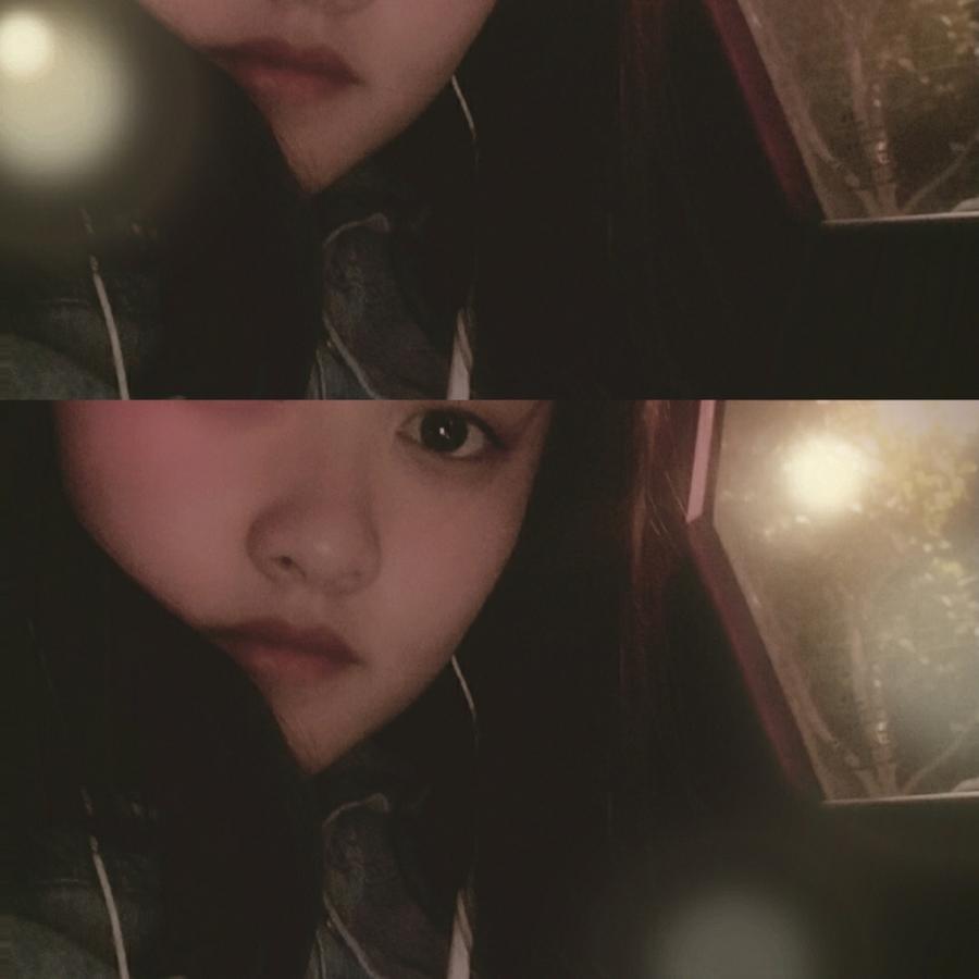 文♡晨