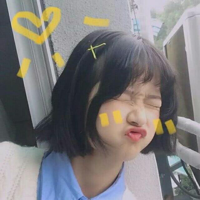 带上你的猫去流浪g3j