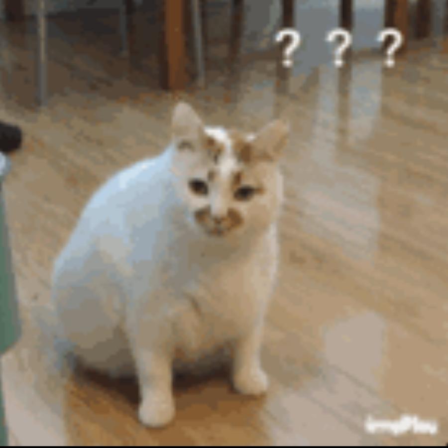 小甜甜(^o^)／