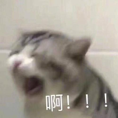 摸鱼的猹呀