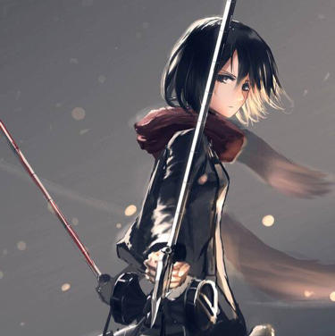 Mikasa·