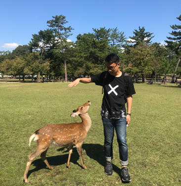岚山渡月