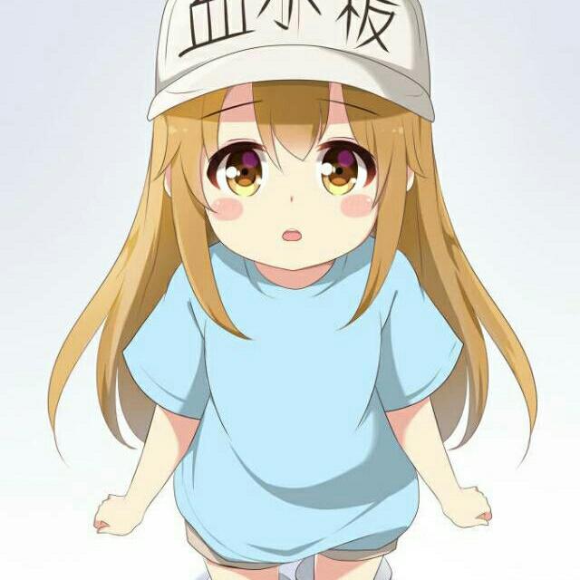 金九玄
