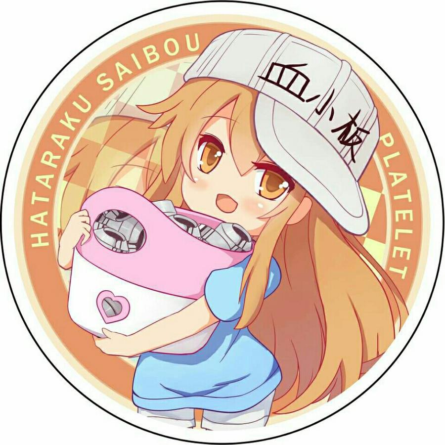 桜の空が小さいですね