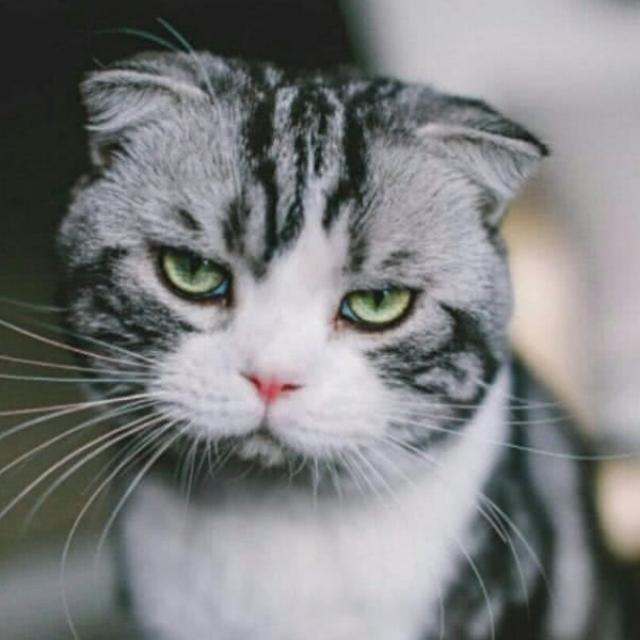 ^O^eh1