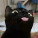 日子和我都有一点难过